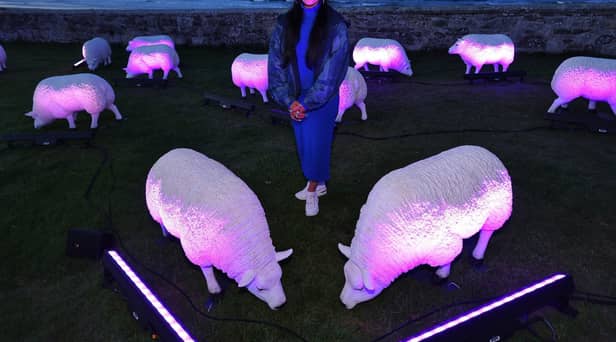 Illuminated sheep art work at Bamburgh with artist Deepa Mann-Kler
 (photo: Raoul Dixon)