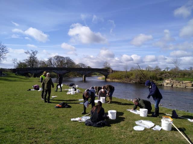 Ribble Rivers Trust volunteers