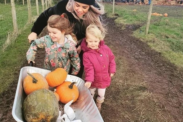 At Mrs Dowson's Farm Park, Hawkshaw Farm, Longsight Road, Clayton-le-Dale, you can choose from 12 different pumpkin types, as well as meeting live scarecrow actors. Dates: 16th & 17th October and 23rd-31st October. Telephone 01254 812407