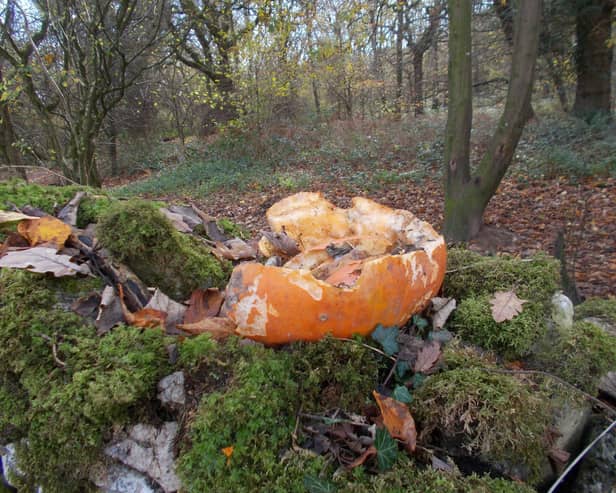 Dumping punpkins in the countryside does more harm than good to wildlife, experts say