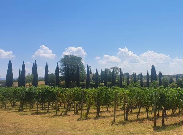 Smashing the social glass ceiling: wine tasting in Tuscany