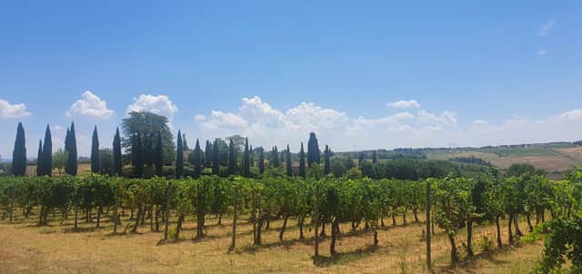 Smashing the social glass ceiling: wine tasting in Tuscany