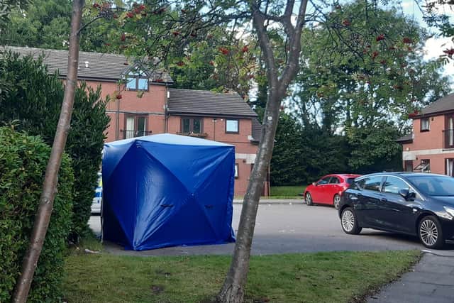 The forensic tent at Markland Court
