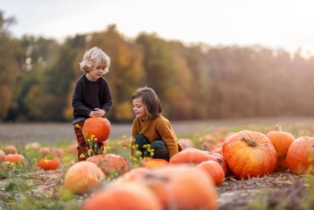 Whether it's picking pumpkins, carving pumpkins or making pumpkln soup, autumn is a great time to get creative.