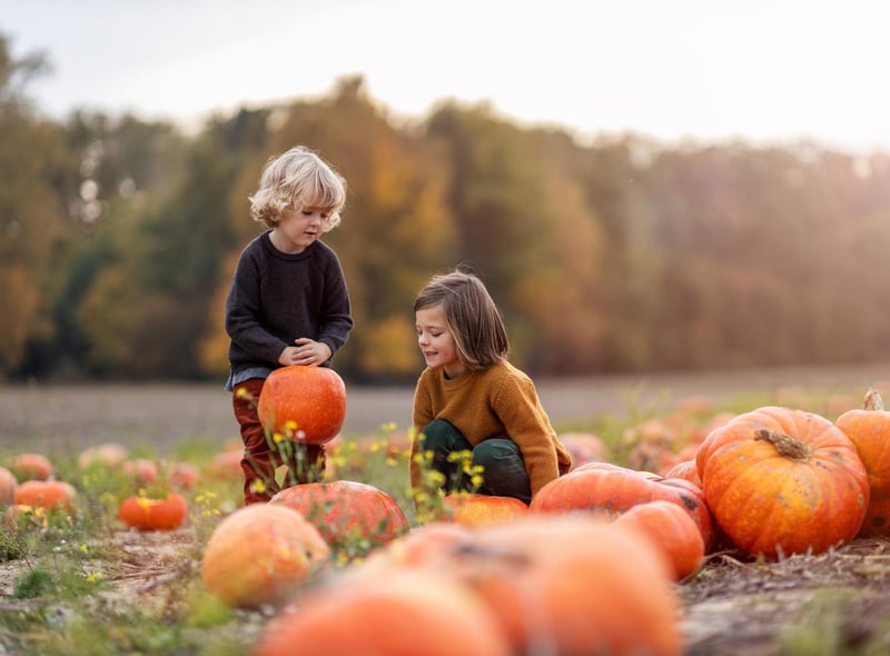 Whether it's picking pumpkins, carving pumpkins or making pumpkln soup, autumn is a great time to get creative.