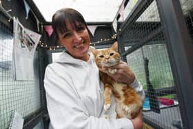 Janette Barton at Cats Guidance Rescue