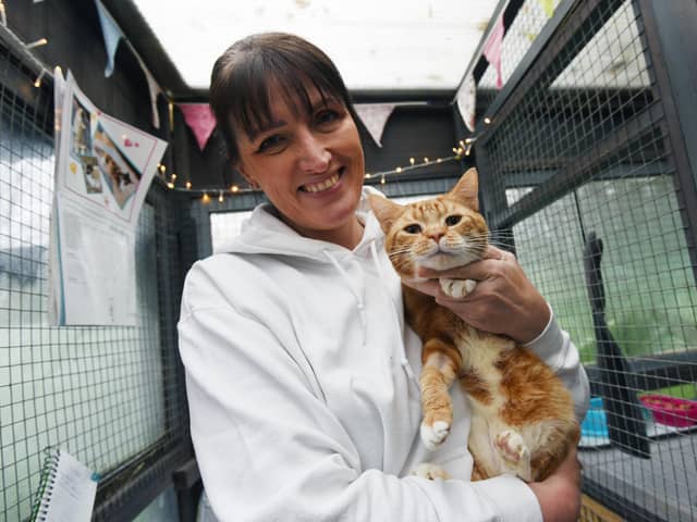 Janette Barton at Cats Guidance Rescue
