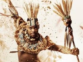Johannes Radebe - Freedom