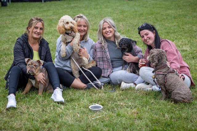 Makants Greyhound Rescue dog show at Astley St Park.L-R Jenna Mitchell with Kilo, Ashlea Thomas with Millie, Alex Carey with Stanley and Leah Carey with Nora.