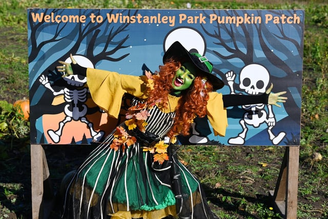 Willow the Witch welcomes you to the Winstanley Park Pumpkin Patch.