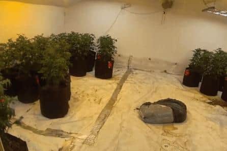 £70,000 worth of cannabis has been seized by Wigan police in a raid