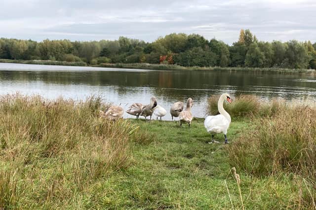 The new Amberswood National Nature Reserve created in Wigan on October 3, 2022.
