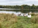 The new Amberswood  National Nature Reserve created in Wigan on October 3, 2022.