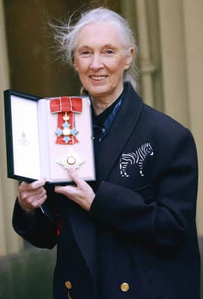 Environmental activist Jane Goodall (photo: Getty Images)