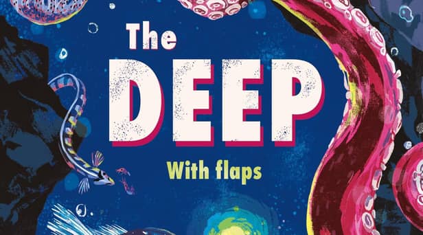 Extreme Planet: The Deep by Laura Cowan and Qu Lan