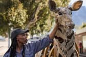 One of the many puppet animals that make up the international animal performance called The Herds
