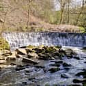 The weir at Hoghton Bottoms