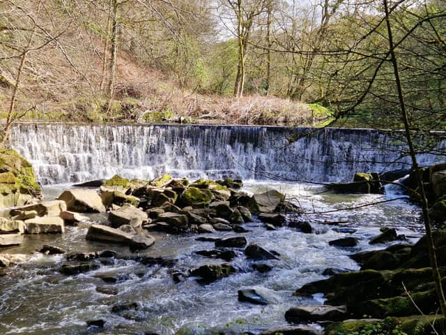 The weir at Hoghton Bottoms