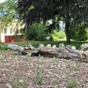 The new 'Amphitheatre for a Tree' garden. Am I missing the joke?