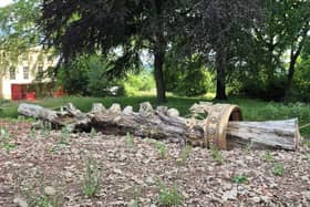 The new 'Amphitheatre for a Tree' garden. Am I missing the joke?