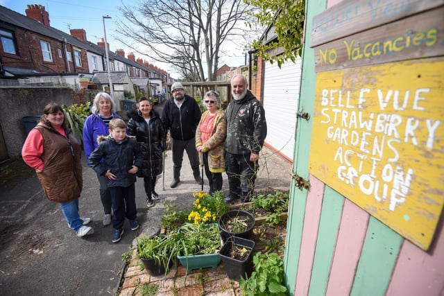 A group of residents have created a community garden in their alleyway called Strawberry Gardens