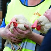 Birds have had to be culled in the Wigan area following a bird flu outbreak at the beginning of the year