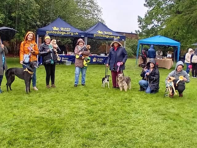 Dogs awarded prizes in the Best Rescue Dog categories at last years event
