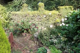 Gardens at Hindley station