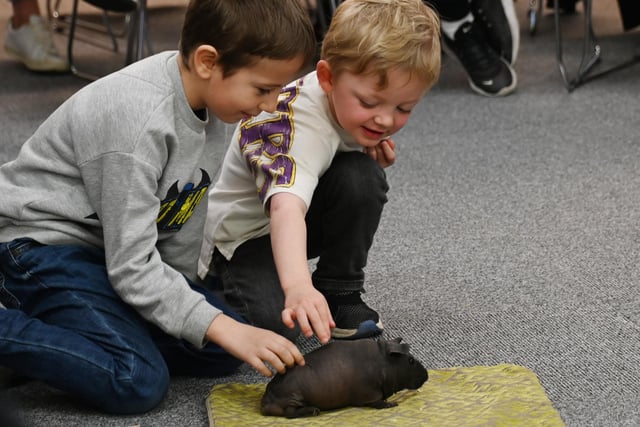 Children meet Eddie the Skinny Pig.