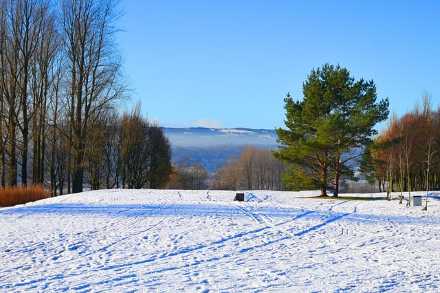 Snow scenes at Haigh Woodland Park,
