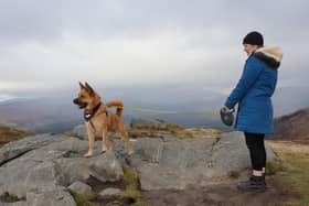 Dog walkers have been urged to be more responsible in order to protect local wildlife