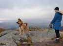 Dog walkers have been urged to be more responsible in order to protect local wildlife