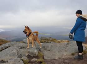 Dog walkers have been urged to be more responsible in order to protect local wildlife