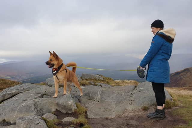 Dog walkers have been urged to be more responsible in order to protect local wildlife