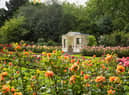 The Rose Garden at Buckingham Palace.