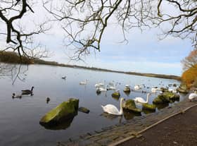 Pennington Flash has a wide range of wildlife