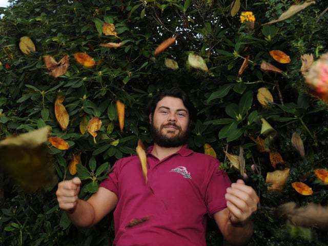 Tom Corsair with autumn leaves at Mesnes Park, Wigan.