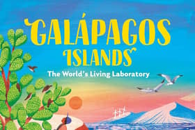 Galápagos Islands: The World’s Living Laboratory by Karen Romano Young and Amy Grimes