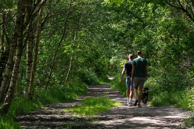 The first of the flag ship walks to signal the start of The Big Wigan Walk Week took part in Pennington Flash