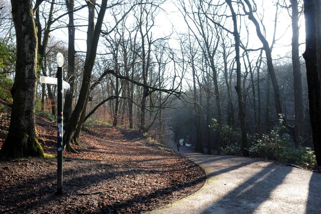 A woodland walk leading up to Haigh Hall