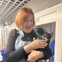 Makerfield MP Yvonne Fovargue meets one of the cats at Cats Protection's Warrington adoption centre