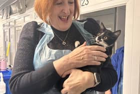 Makerfield MP Yvonne Fovargue meets one of the cats at Cats Protection's Warrington adoption centre