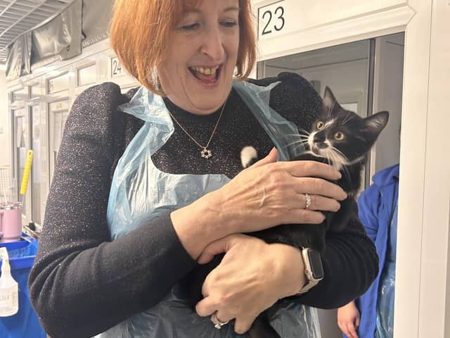Makerfield MP Yvonne Fovargue meets one of the cats at Cats Protection's Warrington adoption centre