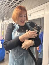 Makerfield MP Yvonne Fovargue meets one of the cats at Cats Protection's Warrington adoption centre
