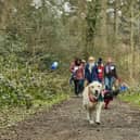 Fund-raisers are being urged to get walking with their dogs to support Cancer Research UK