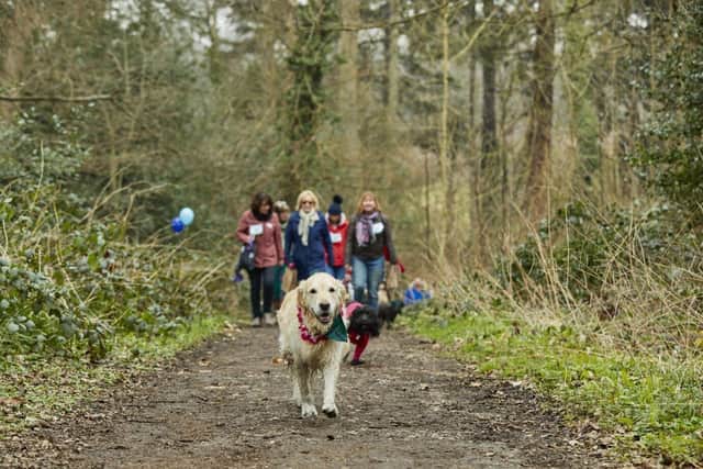 Fund-raisers are being urged to get walking with their dogs to support Cancer Research UK