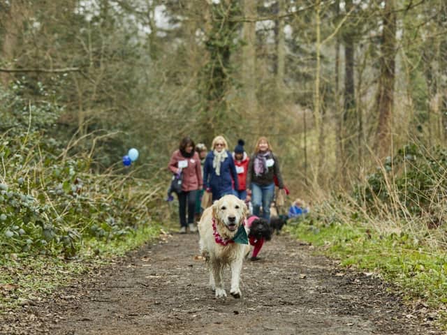 Fund-raisers are being urged to get walking with their dogs to support Cancer Research UK