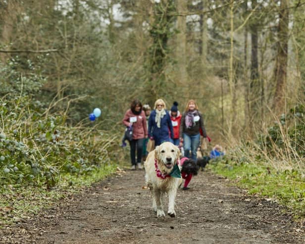 Fund-raisers are being urged to get walking with their dogs to support Cancer Research UK