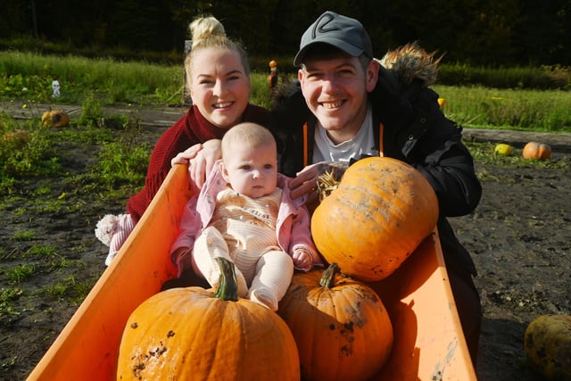 Family fun at the Winstanley Park Pumpkin Patch.
