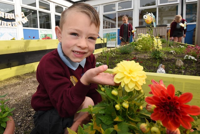 Pupils in the bee-friendly garden at RL Hughes, Ashton-in-Makerfield, Class Act.